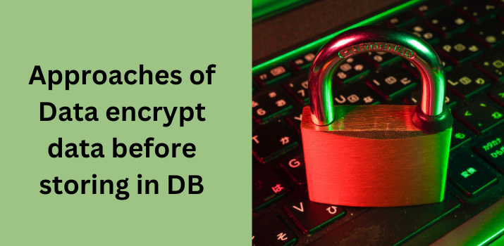 What are the Different Approaches to Encrypt Data before Storing in Databse
