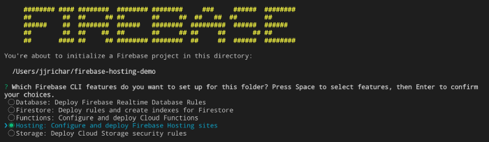Firebase init